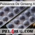 Ginseng Power X 31